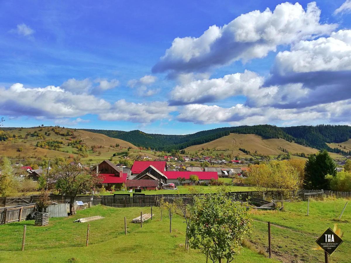 Casa Lacry Otel Mînăstirea Humorului Dış mekan fotoğraf